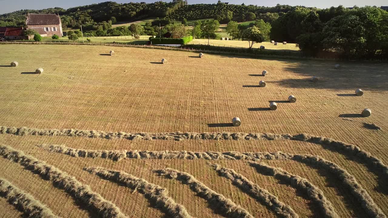 어리 를 수확 하는 트랙터 의 공중 사진.