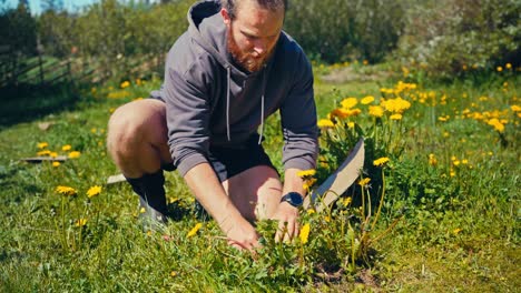 man planting crops in the garden - close up