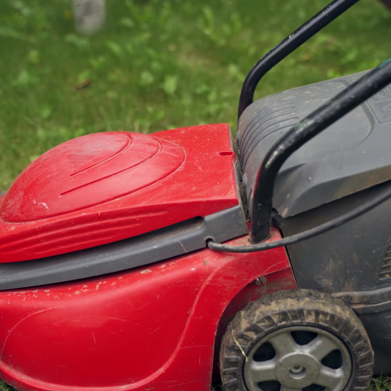 Cutting grass by lawn-mower. Woman works in the backyard with trimmer equipment in summer. Process of mowing green grass.