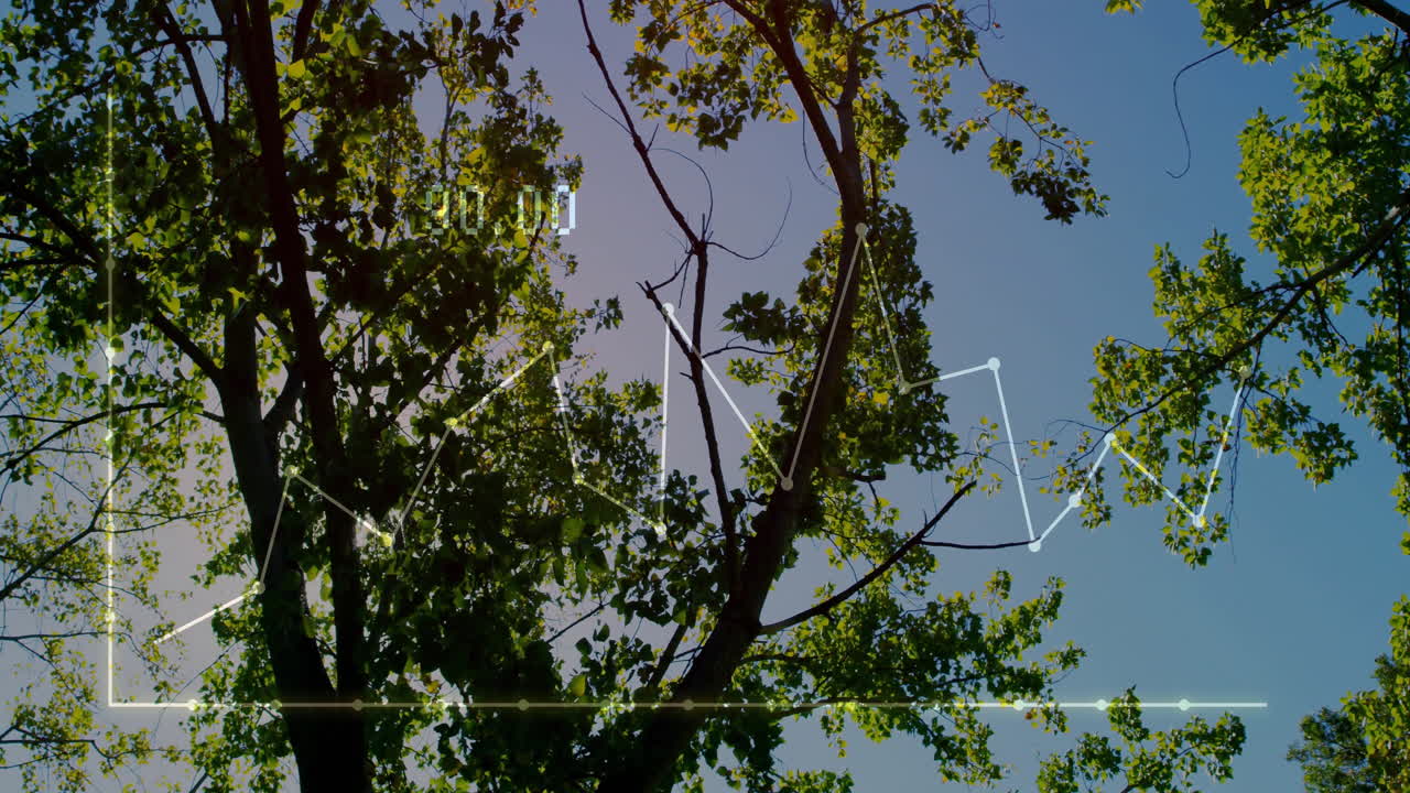 Tree branches and leaves with data processing animation over blue sky