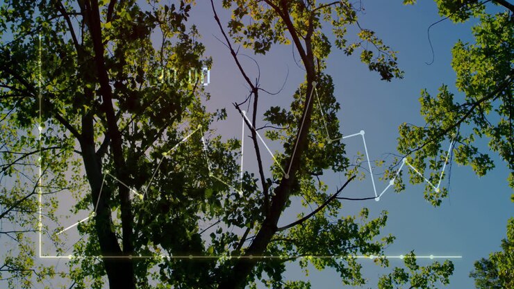 Rami e foglie di alberi con animazione di elaborazione dati su cielo azzurro