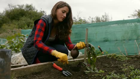 mujer joven jardinería bonita