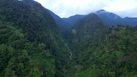 mountain valley in the philippine rainforest