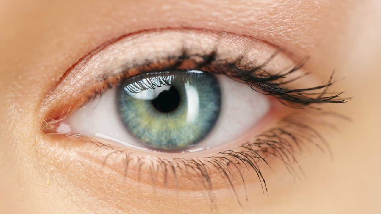 가까운 눈으로 순수한 색 배경에 고립된 매크로 문자 시리즈