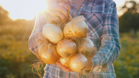 Farmer-holds-a-braid-of-ripe-onion-1