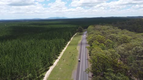volando sobre la carretera y mostrando dos tipos de vegetación diferentes a cada lado