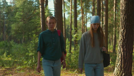 two hikers walking through a serene, sunlit forest, one wearing red backpack and other with blue headscarf, immersed in nature, sunlight filters through trees, casting soft shadows