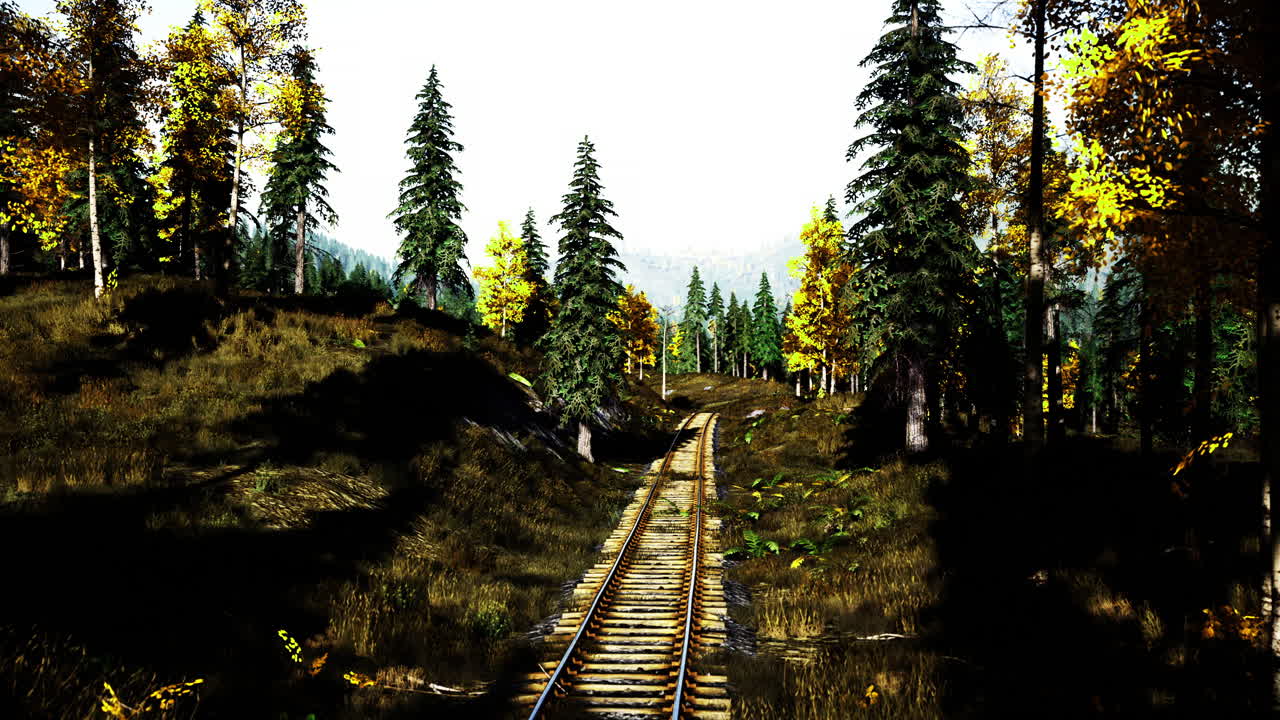 Scenic railway track surrounded by vibrant autumn foliage in the forest