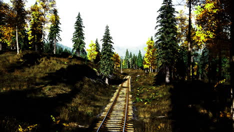 scenic railway track surrounded by vibrant autumn foliage in the forest