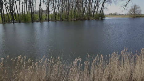 aerial drone shot of flying forward over the adult woman who is standing near the lake