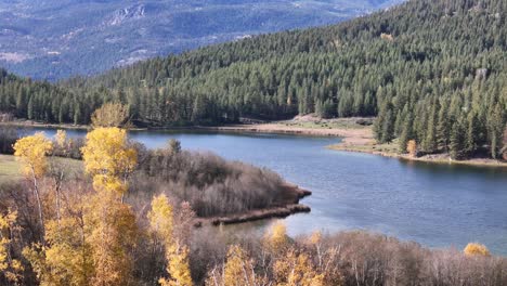 evergreen tranquility: exploring mctaggart lakes amidst forested mountains