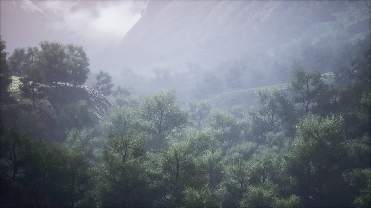 색 ⁇ 의 전망과 함께  ⁇ 은 날에 끝없는 숲