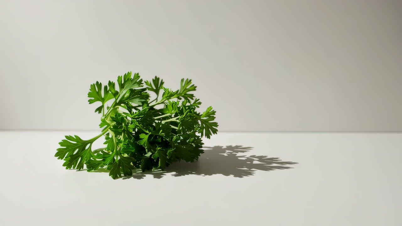 un ramo de perejil fresco