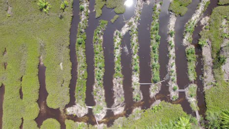 side way drone footage of cap ternay mangrove, Mahe Seychelles 30fps 4
