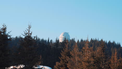 Observatory-overlooking-a-pine-forest,-against-a-blue-sky