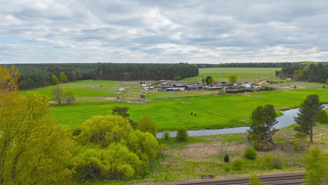 Dairy farm rural grass field landscape timelapse cows grazing Thetford United Kingdom