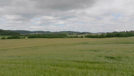 paisaje rural de tierras de cultivo de trigo con cielo nublado