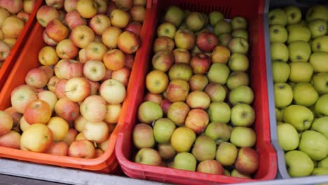 panning shot over bins of fresh fruits and vegetables at the market