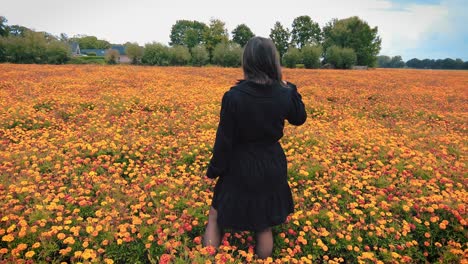 back of woman in dress stands in marigold flower field flicks hair looks around