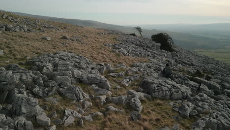 Flying-over-rocky-moorland-with-hiker-and-old-trees-towards-misty-horizon-at-Ingleton-Yorkshire-UK