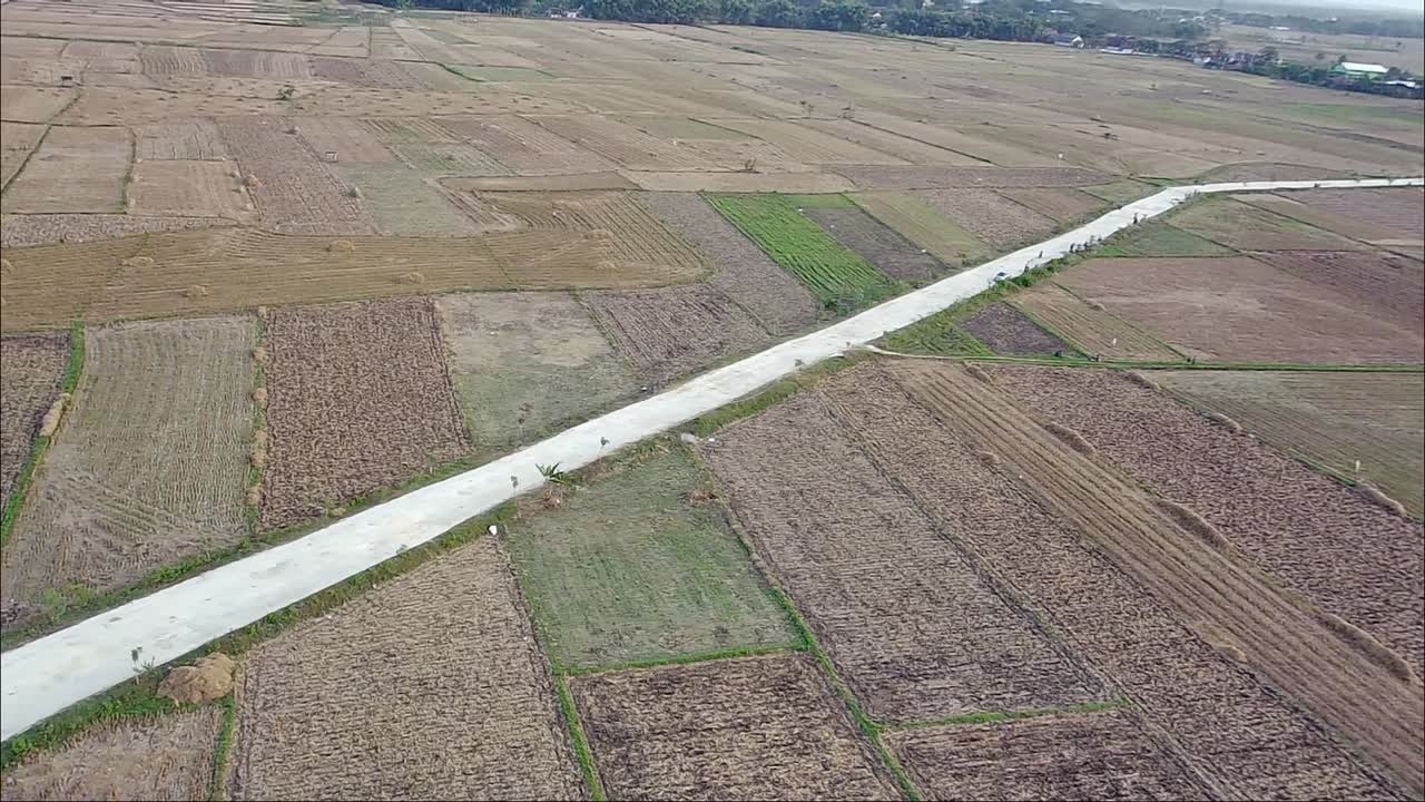 vista de avión no tripulado de la carretera a través de los campos de arroz después de la cosecha por la mañana en blora, indonesia