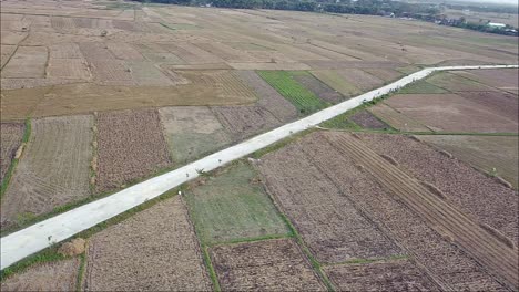 Drone-view-of-road-through-rice-fields-after-harvest-in-the-morning-in-Blora,-Indonesia