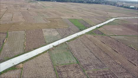 drone view of road through rice fields after harvest in the morning in blora, indonesia