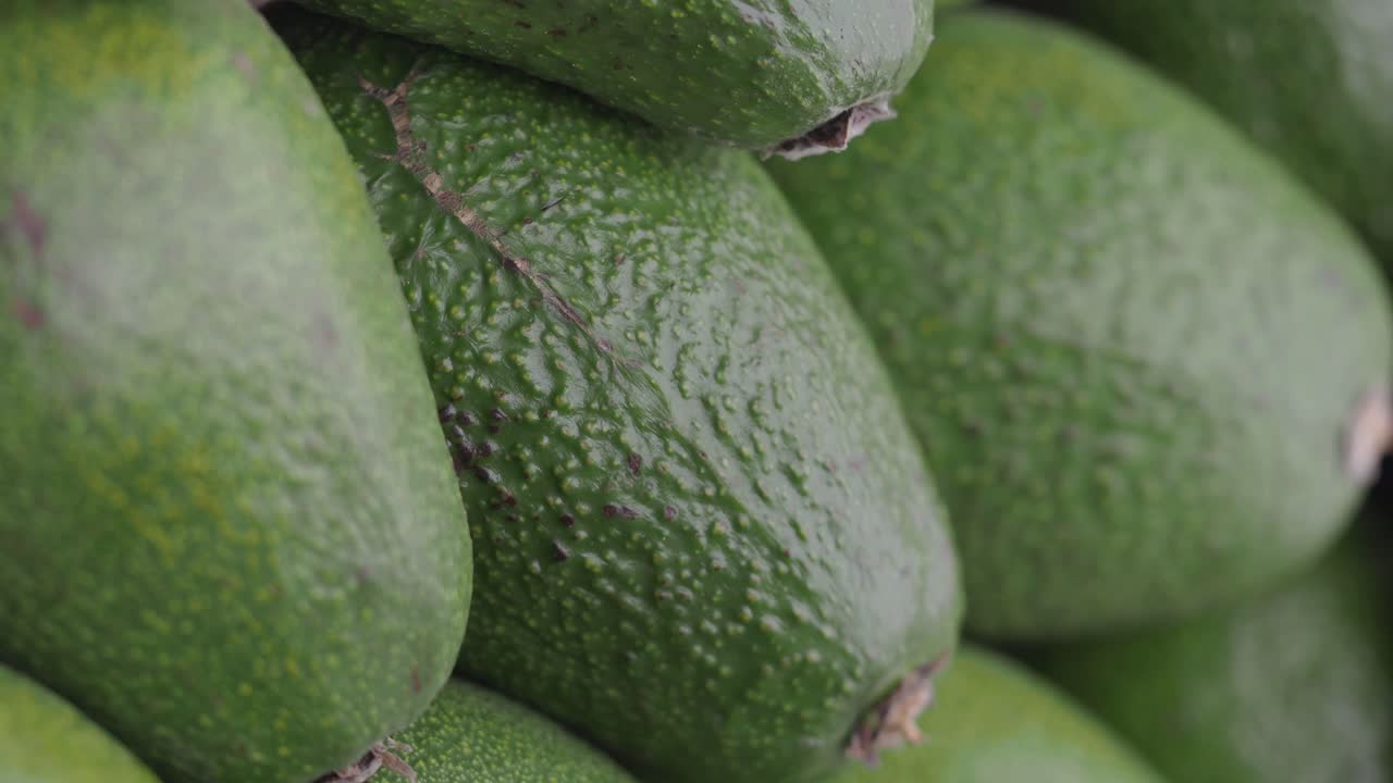 Primer plano de aguacates frescos
