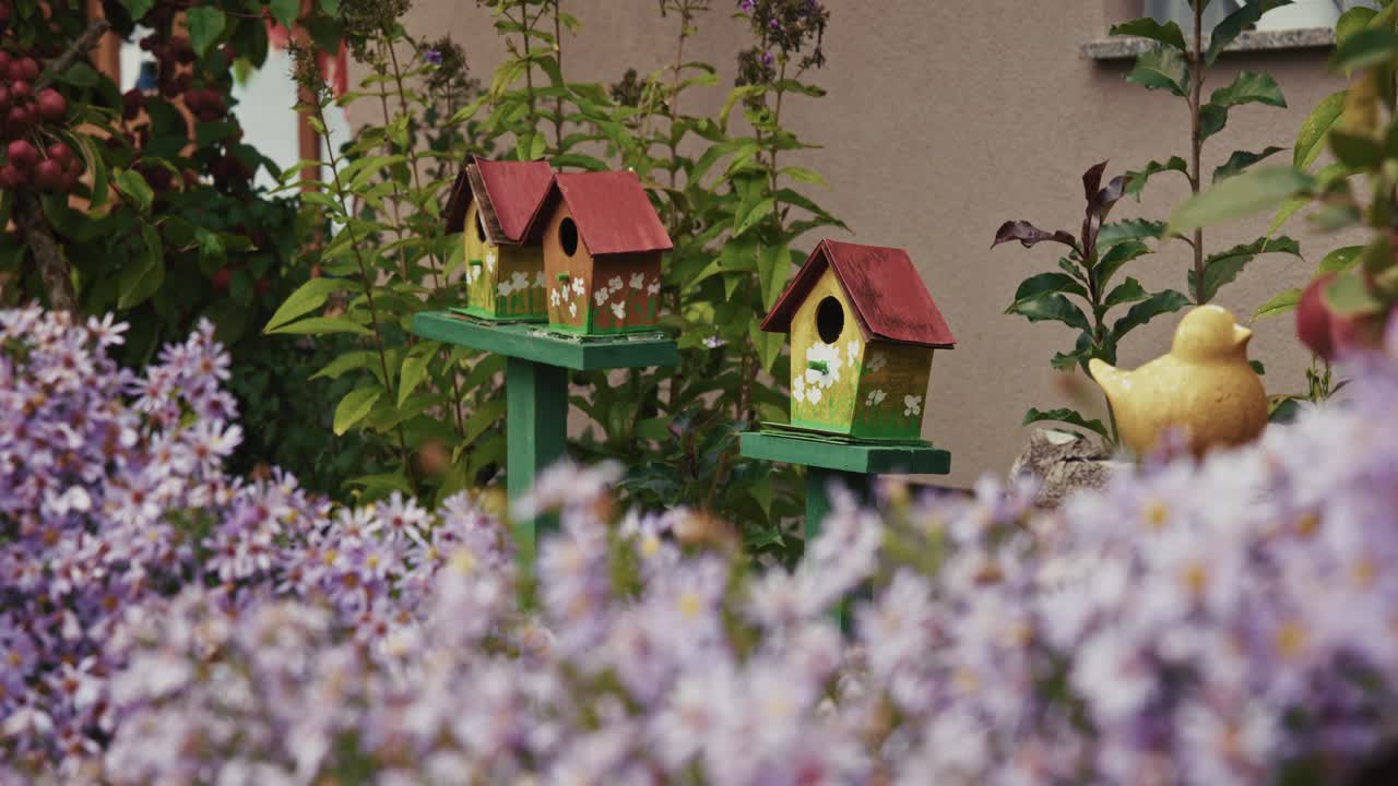 Decorative birdhouses with floral designs surrounded by garden plants and purple flowers