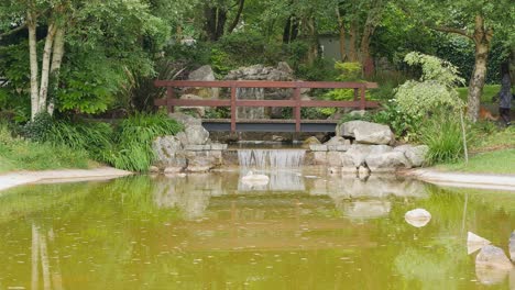 mujer y perro cruzan elegantemente un puente de madera, creando una escena cautivadora en el círculo del jardín de la vida