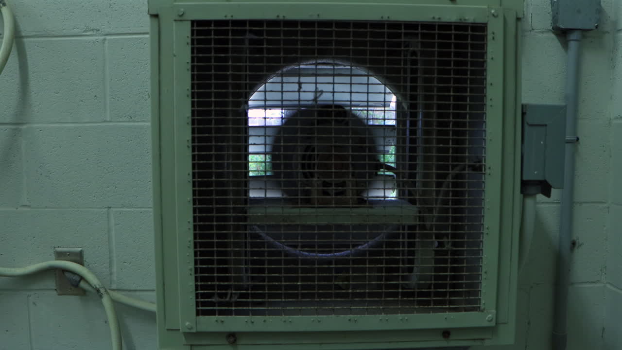 An interior industrial ventilation fan steadily rotates, circulating air through the facility with powerful, rhythmic motion for cooling and ventilation