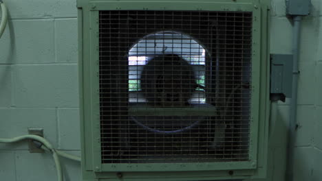 an interior industrial ventilation fan steadily rotates, circulating air through the facility with powerful, rhythmic motion for cooling and ventilation