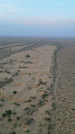 una vista aérea de las interminables dunas de arena dorada en jaisalmer, rajasthan, salpicadas de vegetación verde bajo un cielo azul claro.