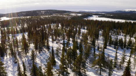 冰冷的 norbotten 瑞典高山森林風景,空中軌道景觀