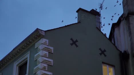 pigeons flying in a group in slow motion at dusk in a town