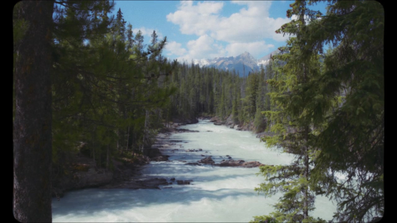 Fiume di montagna che scorre in estate