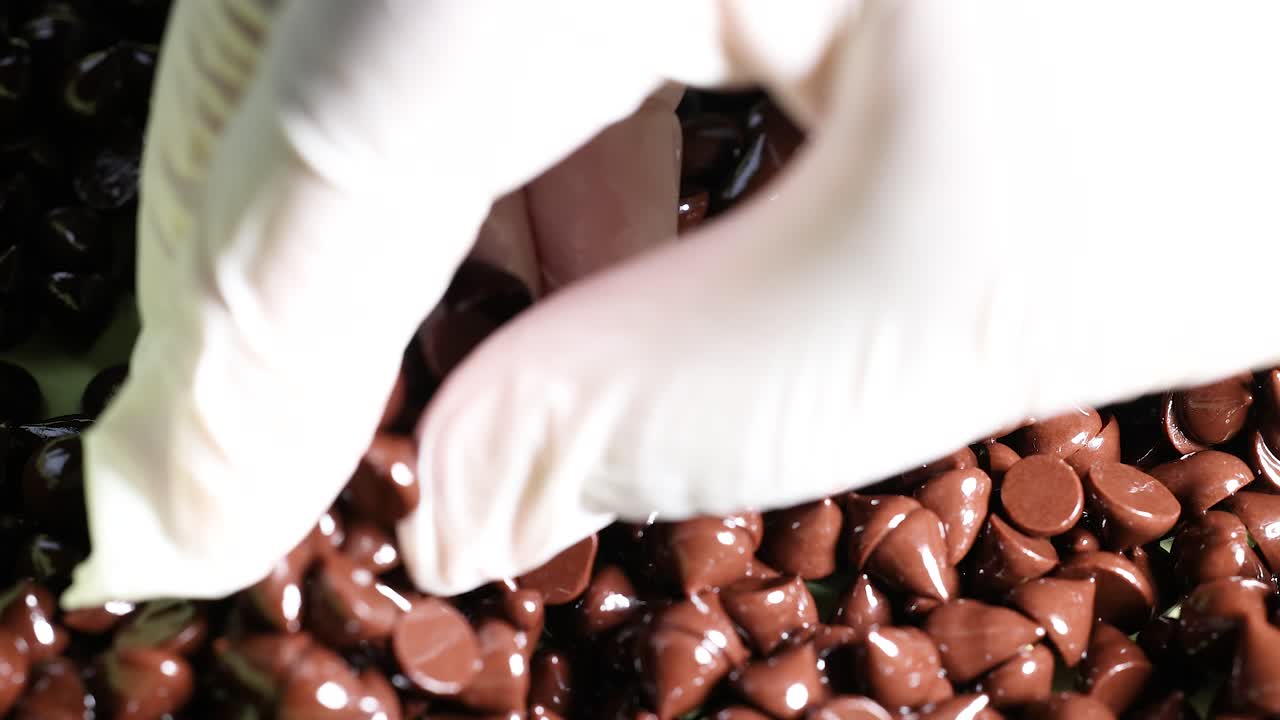 Hands sorting chocolate chips with white gloves
