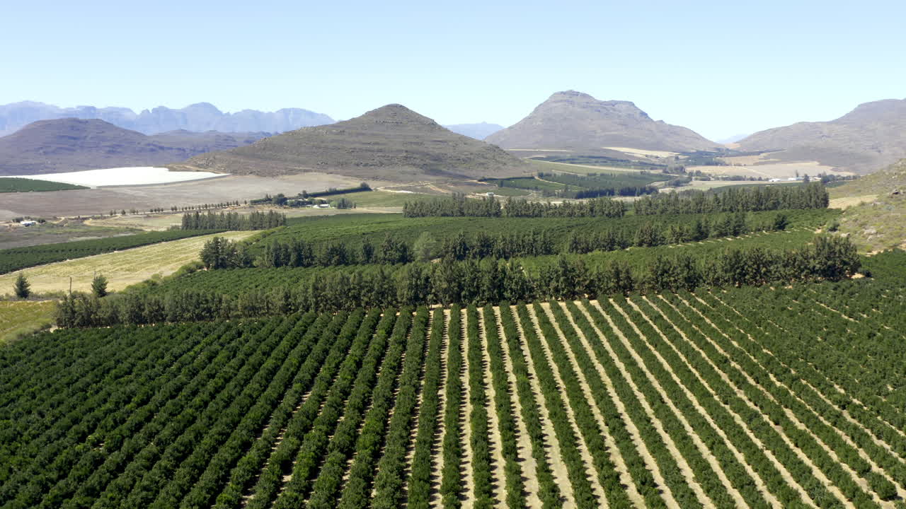 농업을 유지하고, 경제를 유지합니다.