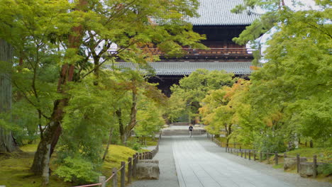 Beautiful-green-leaves-in-front-of-a-big-temple,-person-walking-in-front-of-the-temple-in-the-background-in-Kyoto,-Japan-soft-lighting