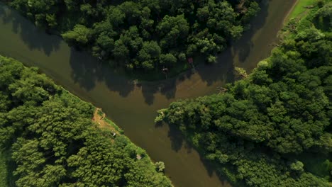 aerial overhead ascending shot of the confluence of the rivers morava and dyje on the borders of czech republic, slovak republic and austria