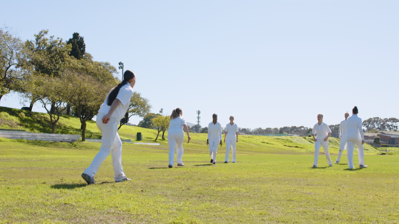 Playing cricket on sunny day, women enjoying outdoor sports activity