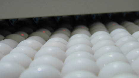 automated machinery processes white eggs in a factory 1