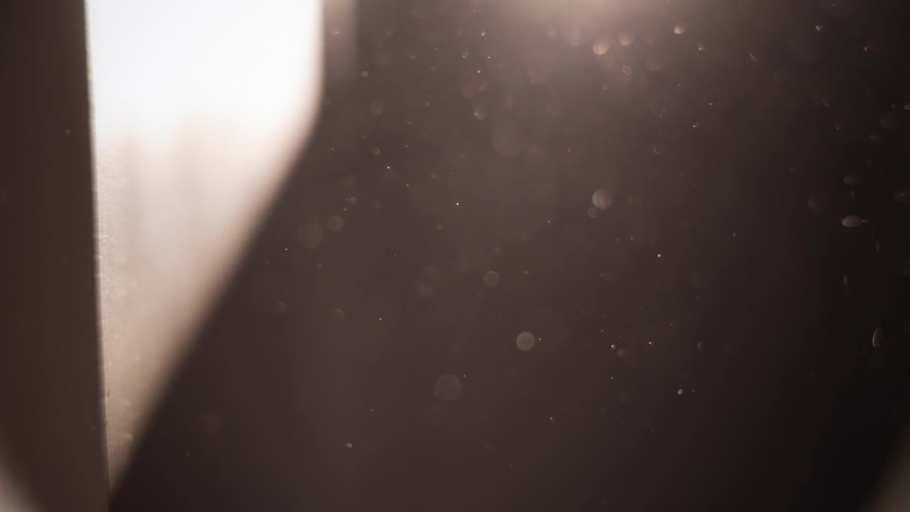Sun rays revealing dust particles