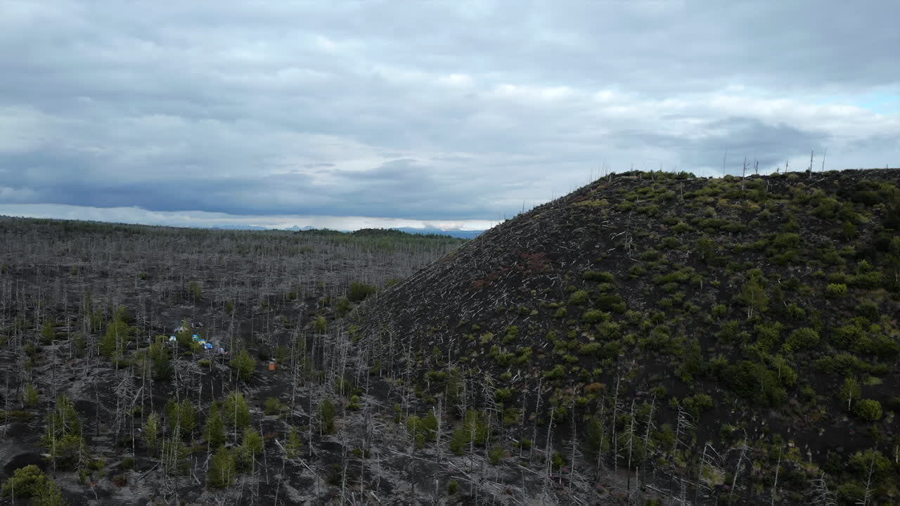 Volcanic Landscape with Dead Trees and Sparse Vegetation