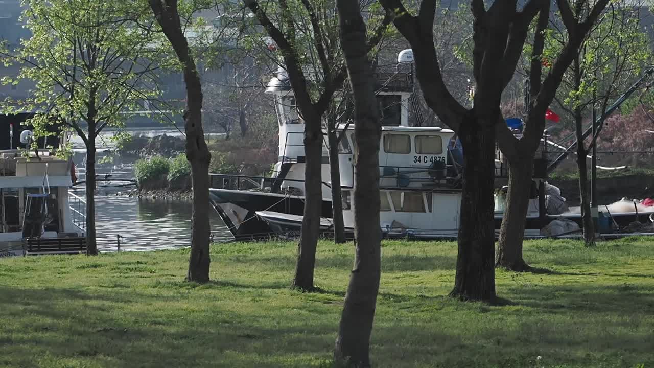 Park with boats and trees by the river