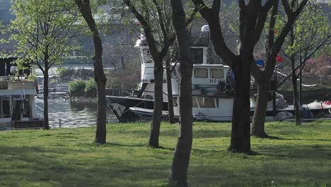 park with boats and trees by the river