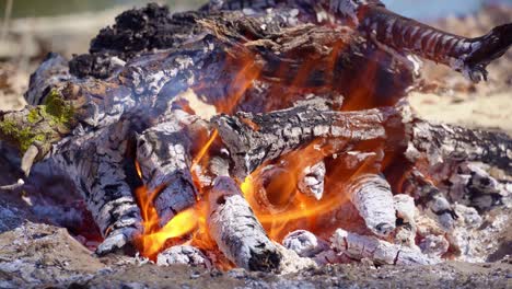 bonfire burning on the river bank, bright sunny day, beautiful nature, travel, hiking and camping concept