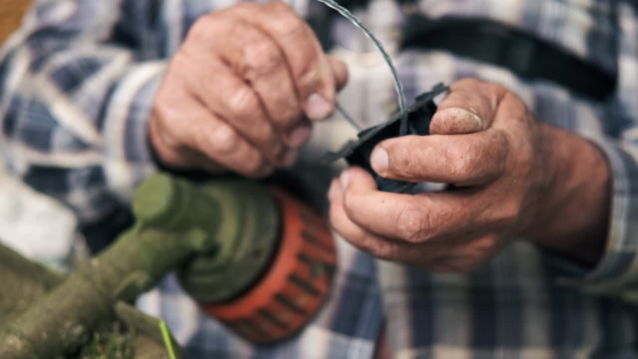 버과 함께 시골 우물, 주변의 초록색