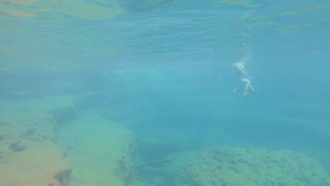 young man swimming in blue crystal clear under water of waterfall from top angle