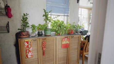 push past white wall towards potted plants on asian dresser